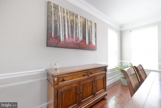 office featuring ornamental molding, a wainscoted wall, dark wood-type flooring, and a decorative wall