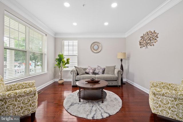 living area featuring dark wood-type flooring, crown molding, and baseboards