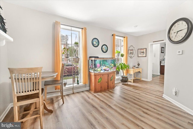 living area with light hardwood / wood-style floors