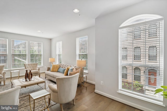 living room featuring light hardwood / wood-style floors