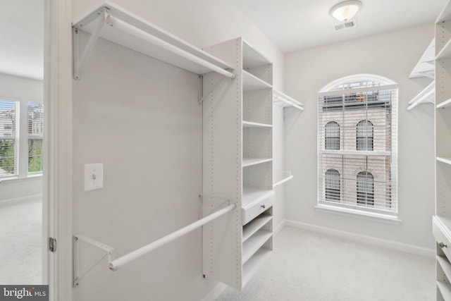 walk in closet featuring carpet floors