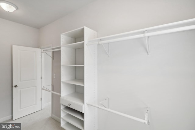 view of spacious closet