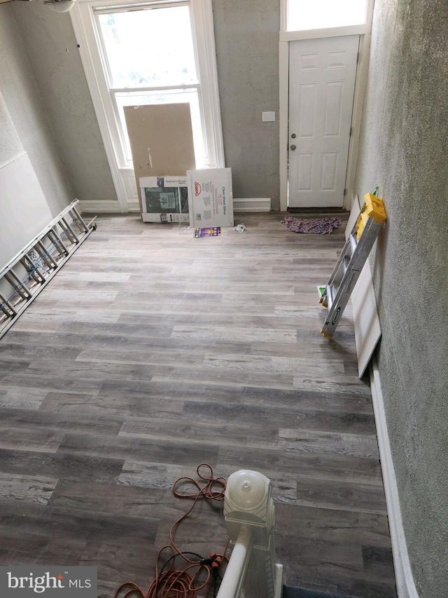 entryway with hardwood / wood-style floors