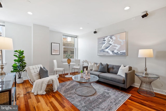 living room with hardwood / wood-style floors