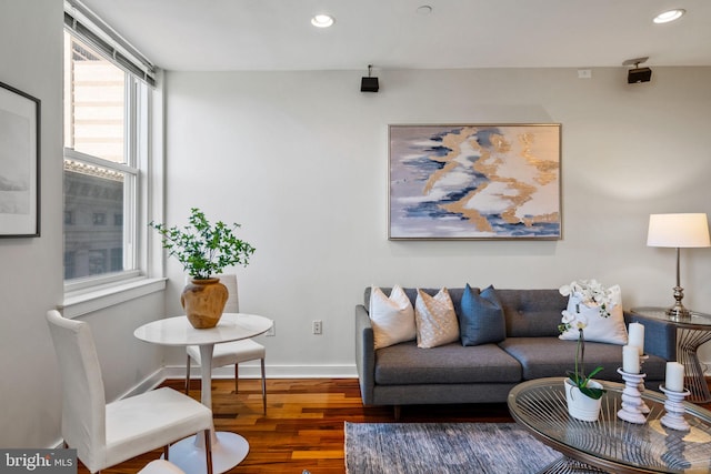 living room featuring hardwood / wood-style floors