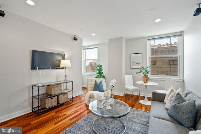 living room featuring a wealth of natural light and hardwood / wood-style flooring