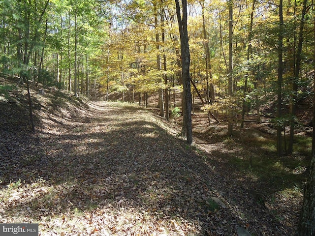 LOT32 Champwood Ln S, Keyser WV, 26726 land for sale