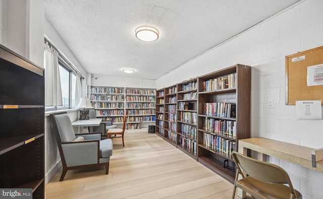 living area featuring light hardwood / wood-style flooring and a textured ceiling