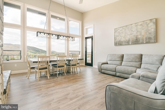 living room featuring a mountain view and light wood-type flooring