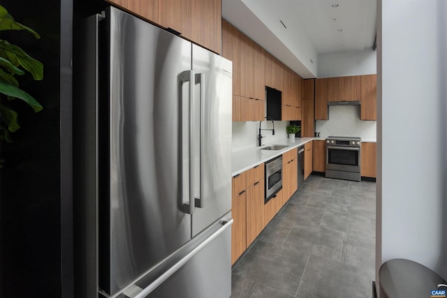 kitchen featuring appliances with stainless steel finishes, exhaust hood, and sink