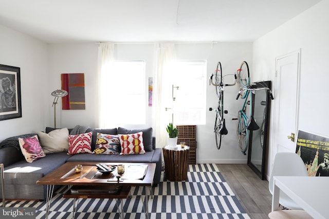 living room with hardwood / wood-style flooring