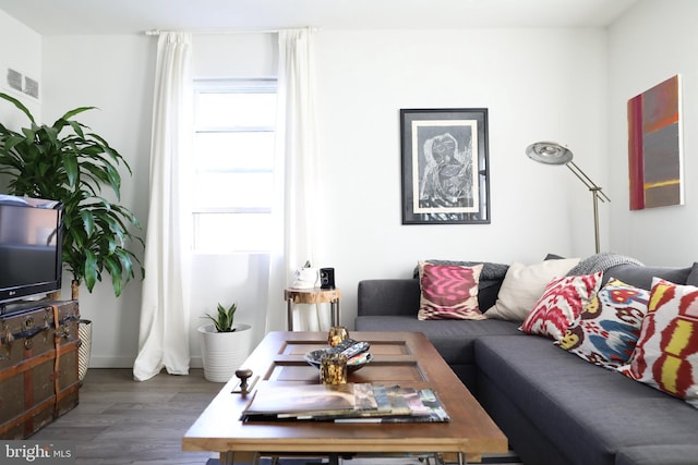 living room with dark hardwood / wood-style flooring and a wealth of natural light