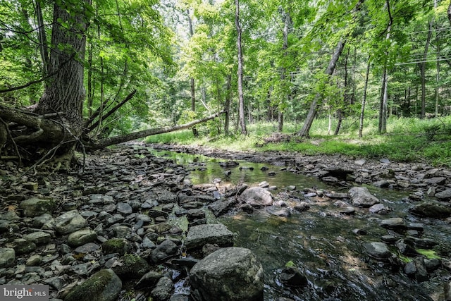 view of local wilderness