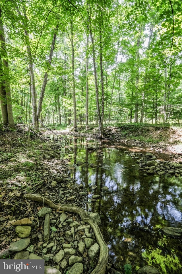 view of local wilderness