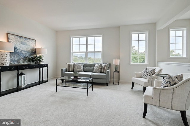 living room featuring light colored carpet