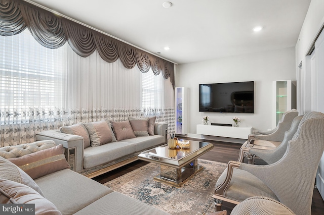 living room featuring hardwood / wood-style floors