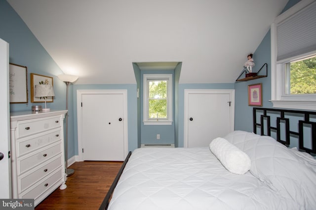 bedroom with hardwood / wood-style floors, lofted ceiling, a closet, and multiple windows