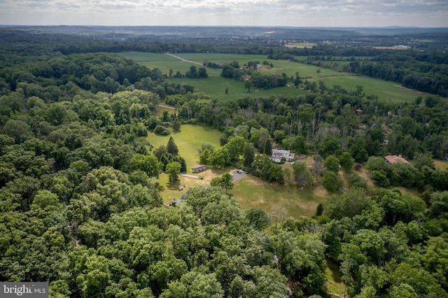 bird's eye view