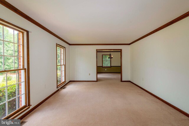 carpeted spare room with ornamental molding