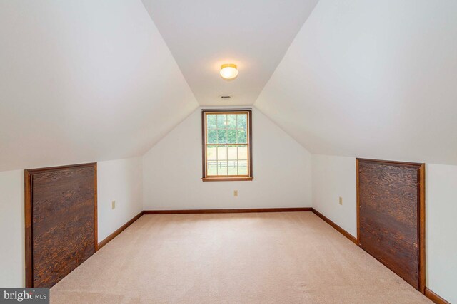 additional living space with light carpet and lofted ceiling