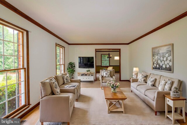 living room featuring crown molding and light hardwood / wood-style floors