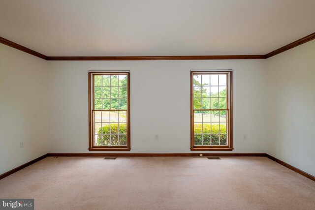 carpeted spare room featuring ornamental molding