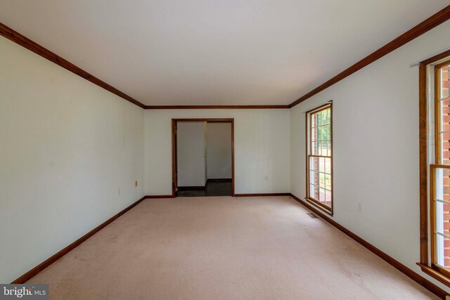 unfurnished room featuring crown molding and carpet flooring