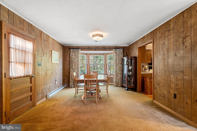 unfurnished dining area featuring a baseboard radiator, light carpet, and wood walls