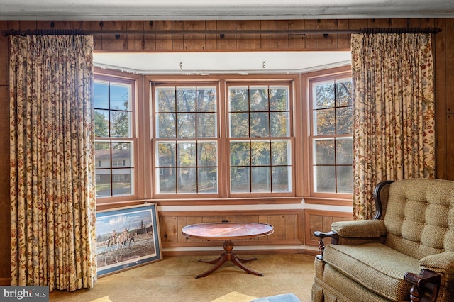 sitting room featuring wooden walls and carpet flooring