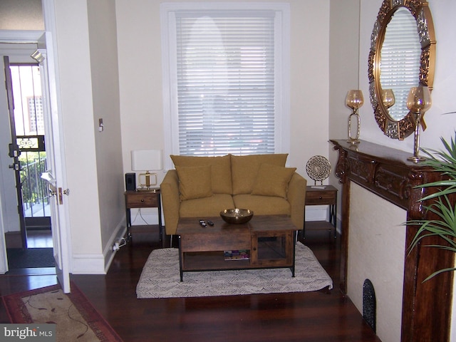 living room with dark hardwood / wood-style flooring