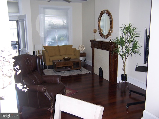 living room featuring hardwood / wood-style flooring