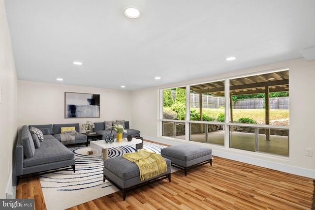 living room with light wood-type flooring