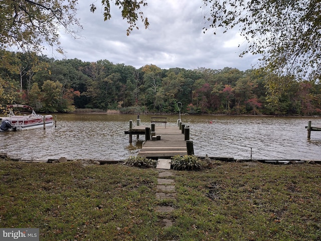 view of dock with a water view