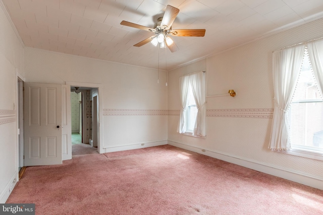 spare room with ceiling fan, a healthy amount of sunlight, light colored carpet, and ornamental molding