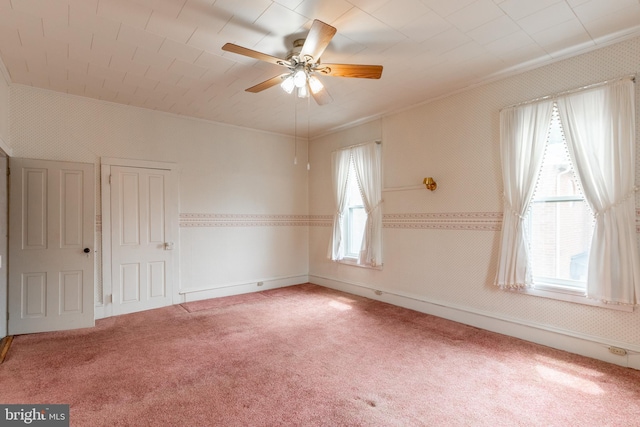 carpeted spare room with ceiling fan, a healthy amount of sunlight, and crown molding