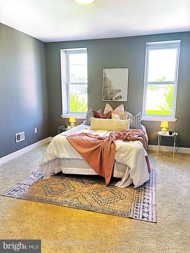 bedroom with carpet and multiple windows