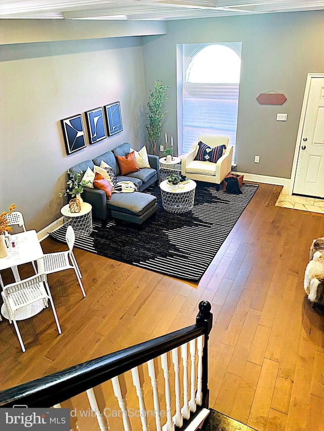 living room with wood-type flooring and crown molding