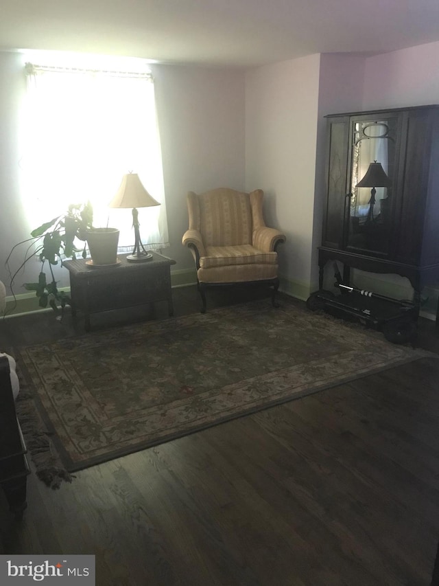 living room with dark hardwood / wood-style floors