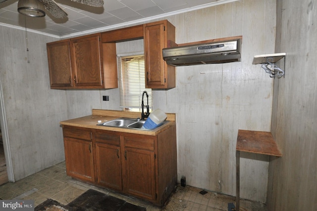 kitchen featuring wooden walls, ceiling fan, sink, and exhaust hood