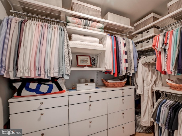 view of spacious closet