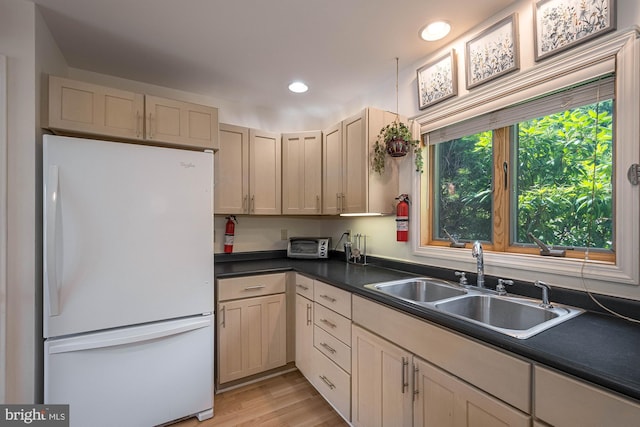 kitchen featuring sink, light hardwood / wood-style flooring, and white refrigerator