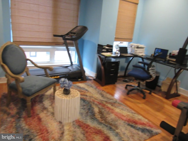 home office featuring hardwood / wood-style flooring