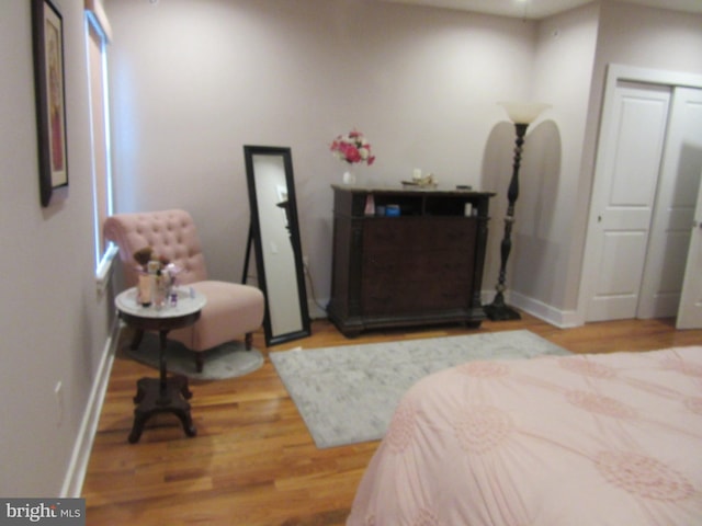 bedroom featuring wood-type flooring