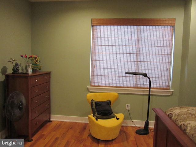 interior space featuring wood-type flooring