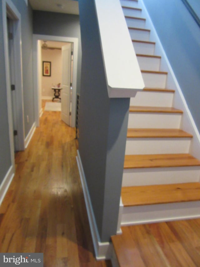 staircase with hardwood / wood-style floors