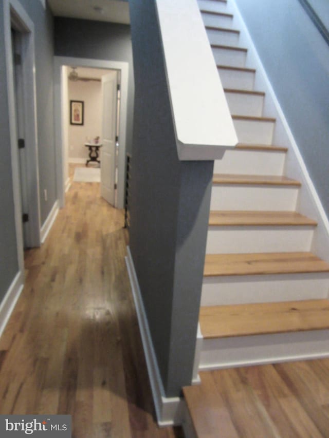 staircase featuring hardwood / wood-style floors