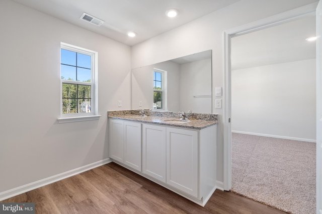 bathroom featuring wood-type flooring and vanity