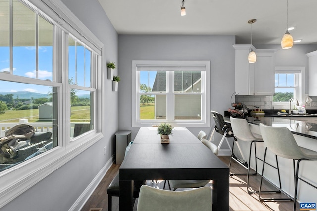 dining space with wood-type flooring, a wealth of natural light, and sink