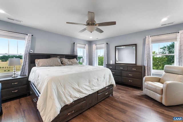 bedroom featuring ceiling fan, dark hardwood / wood-style flooring, and multiple windows