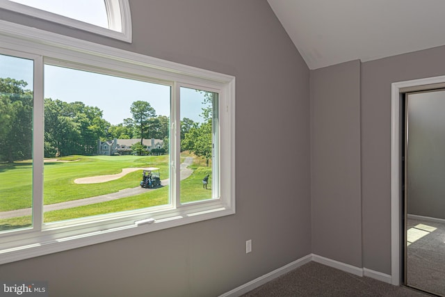 carpeted spare room with plenty of natural light and lofted ceiling